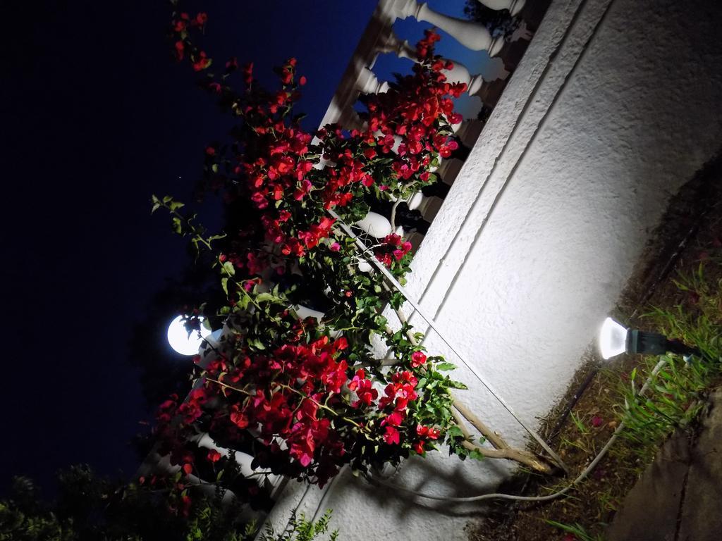 Galaxy Hotel アルゴストリオン エクステリア 写真